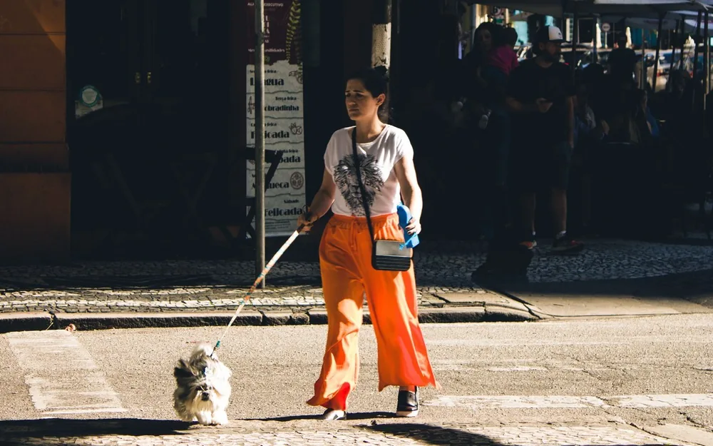 Bring a Book on Dog Walks and Errands