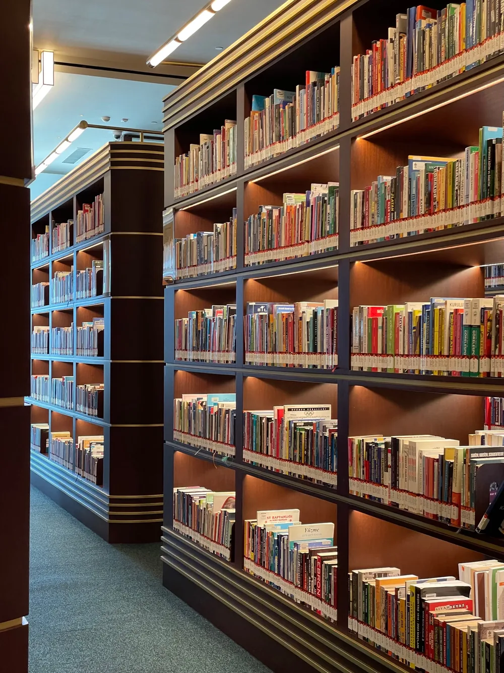 Bring in the reading you want to understand