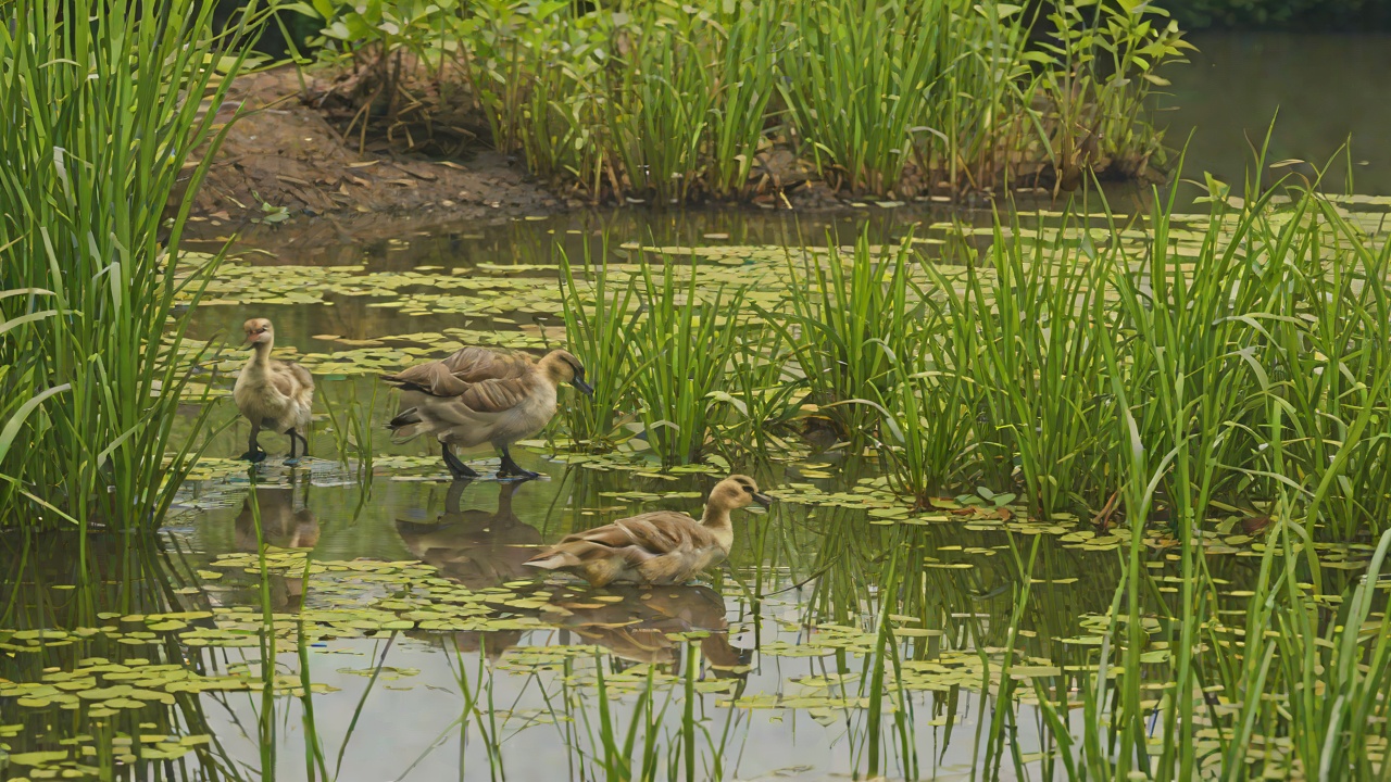 The Goslings' Mockery from "The Wild Robot". The Goslings' Mockery Context At the pond, other goslings suddenly burst into laughter, teasing Brightbill about having a monster mother.