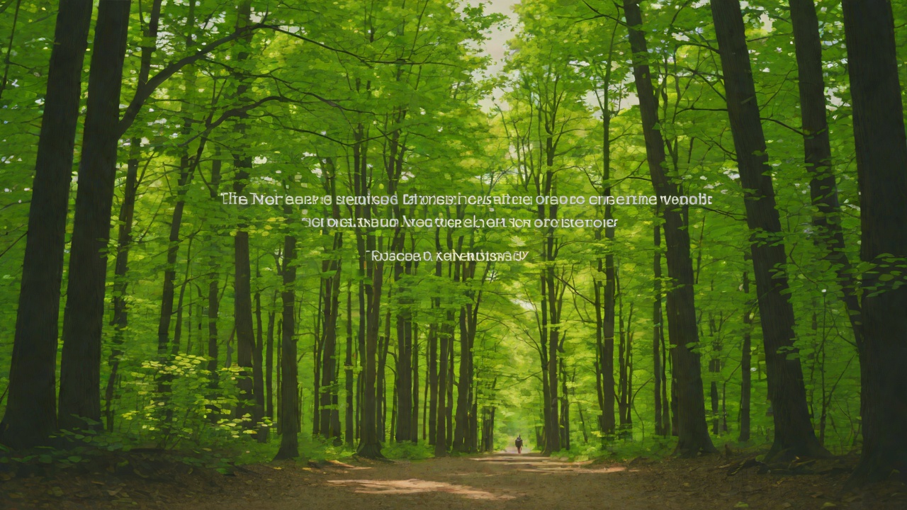 The Forest Question from "Die, My Love". The Forest Question Context Her husband drives the narrator into the woods and turns off the engine.