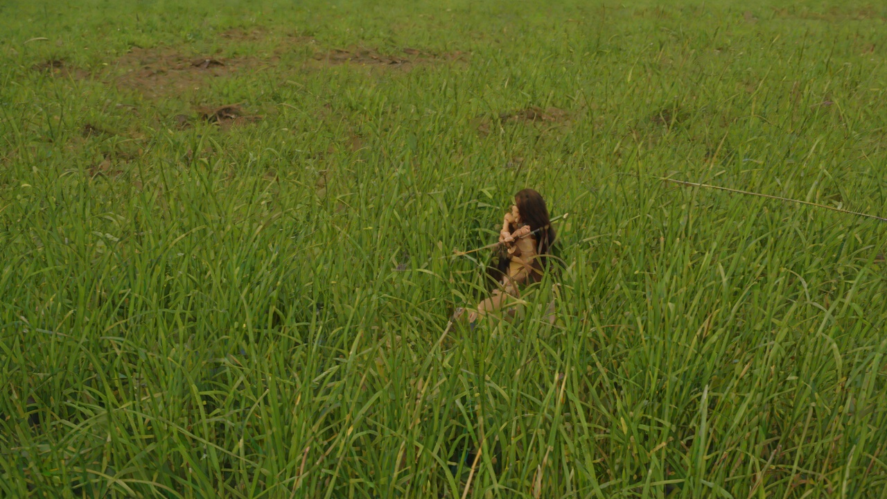 The Price in the Grass from "Conan the Barbarian". The Price in the Grass Valeria leaps in front of Doom's arrow meant for Conan.