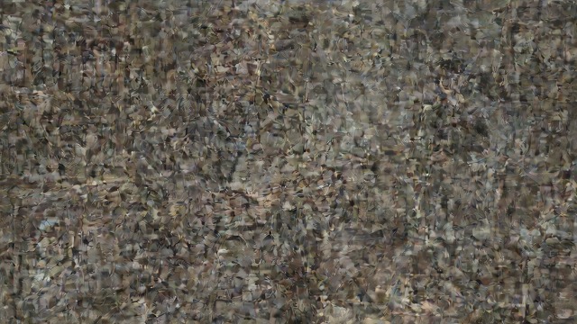 The Hidden Paternity from "After Ever Happy". The Hidden Paternity A private revelation Hardin learns that Christian Vance may be his biological father rather than Ken Scott.