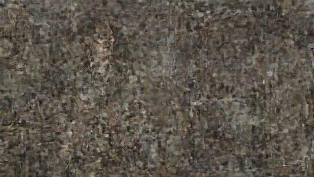 一场没有形态的预言,《丛林中的野兽》中的场景。一场没有形态的预言 毫无细节的确信 约翰·马彻确信某件非凡之事即将发生,却无法说出它会以何种形式出现。这一预言之所以有力,恰恰是因为它可以容纳种种可能。 他想象这件事会压倒或改变自己。由于缺乏细节,他得以继续相信,却不必检验这种信念。 无法证伪的期待 只要这件事始终没有明确界定,平凡生活就无法证明它并不存在。