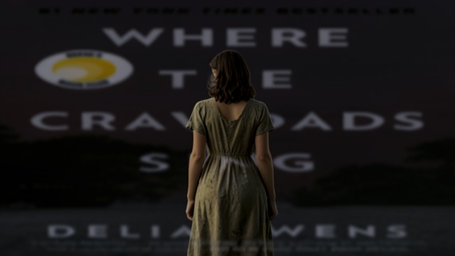 The Missed Fourth of July from "Where the Crawdads Sing". A Promise Goes Unkept Waiting at the Lagoon Tate promises to return from college for the holiday, but he does not come.