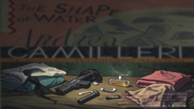 The Cottage’s Contents from "The Shape of Water". The Cottage’s Contents Private Traces Montalbano finds spare clothes, wigs, condoms, a pistol, and women’s clothing in Luparello’s hidden cottage.
