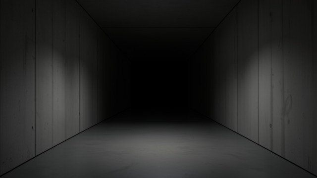 The House Without Objects from "House of Leaves". The House Without Objects The inner house contains walls, rooms, and corridors but no furniture, dust, fixtures, or history.